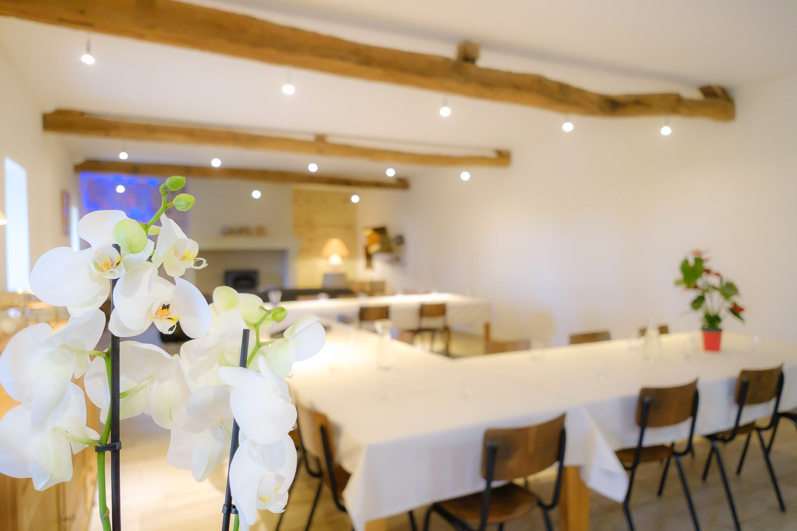 Le Chai, salle de réception pour 50 personnes, gîte de groupe au Domaine des Gauliers pour vos evenements